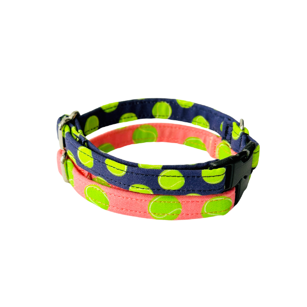 Fetch in Pink & Blue Collar