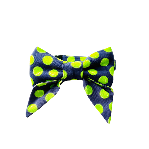 Fetch in Pink & Blue Bows