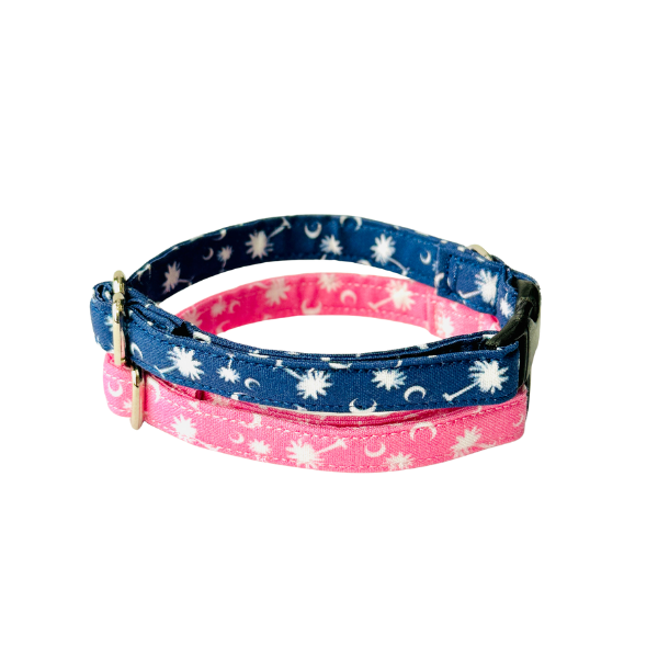 SC Palmettos in Pink & Blue Collar