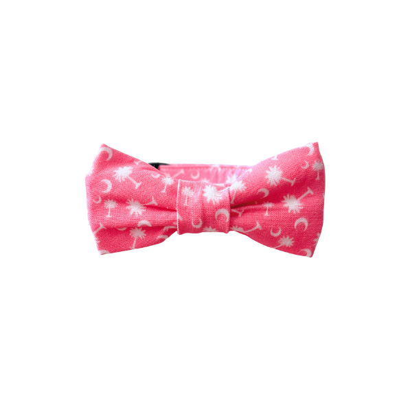SC Palmettos in Pink & Blue Bows