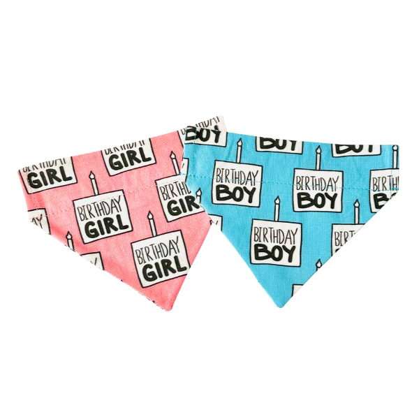 Happy Birthday in Pink & Blue Bandana