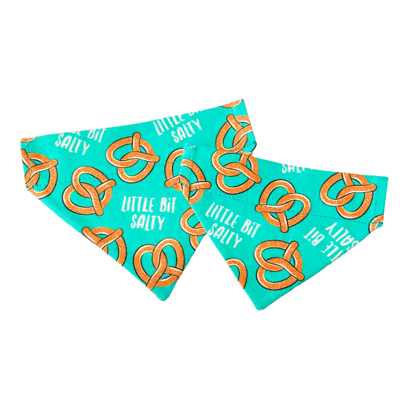 Little Bit Salty Bandana