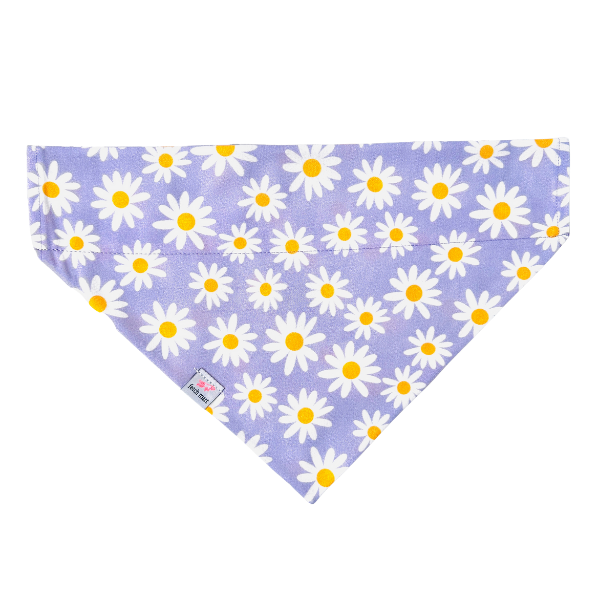 Lavender Daisies Bandana
