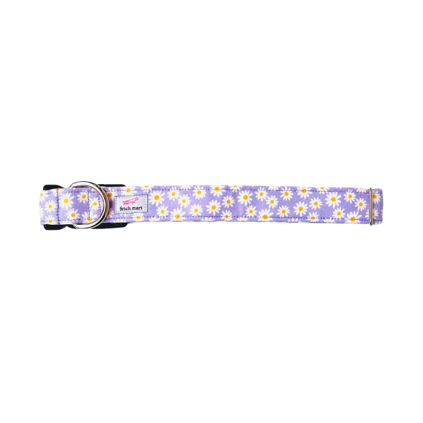 Lavender Daisies Collar