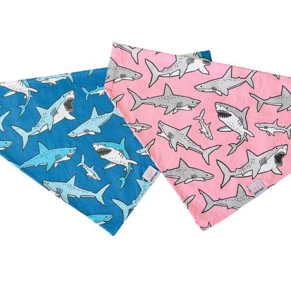 Sharks in Blue & Pink Bandana