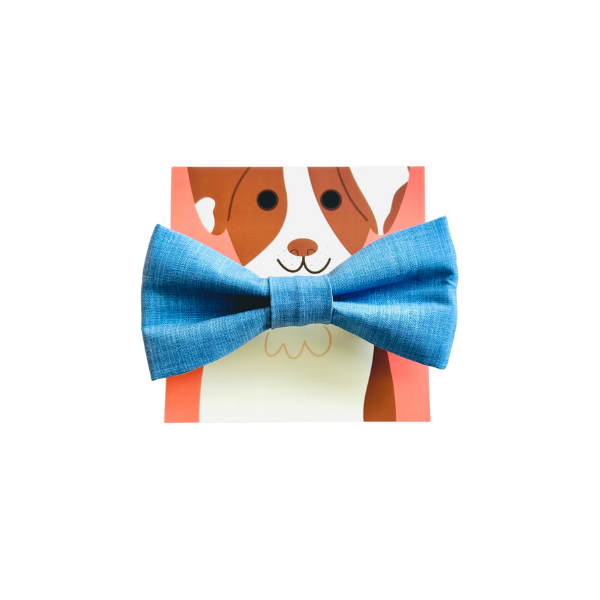 Chambray Bow Tie
