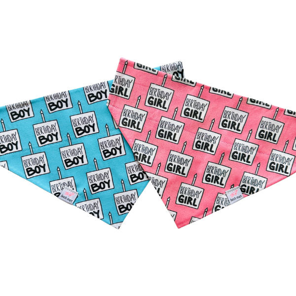 Happy Birthday in Pink & Blue Bandana