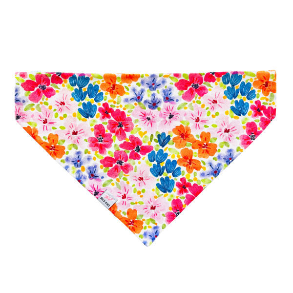 Gloria Botanicals Bandana