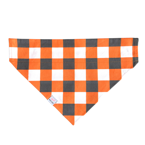 Tennessee Gingham Bandana