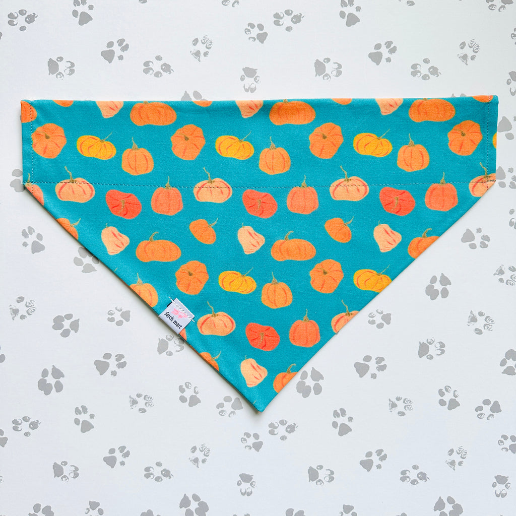 Oh My Gourd! Bandana