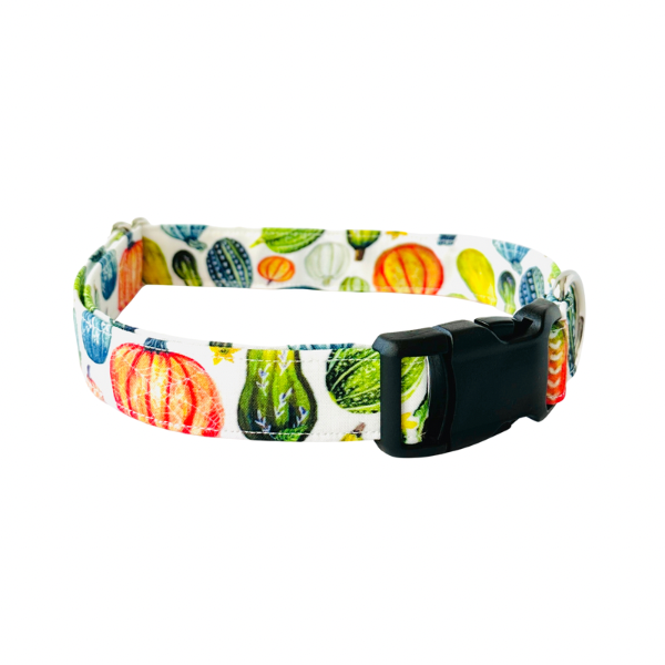 Squash Goals Collar