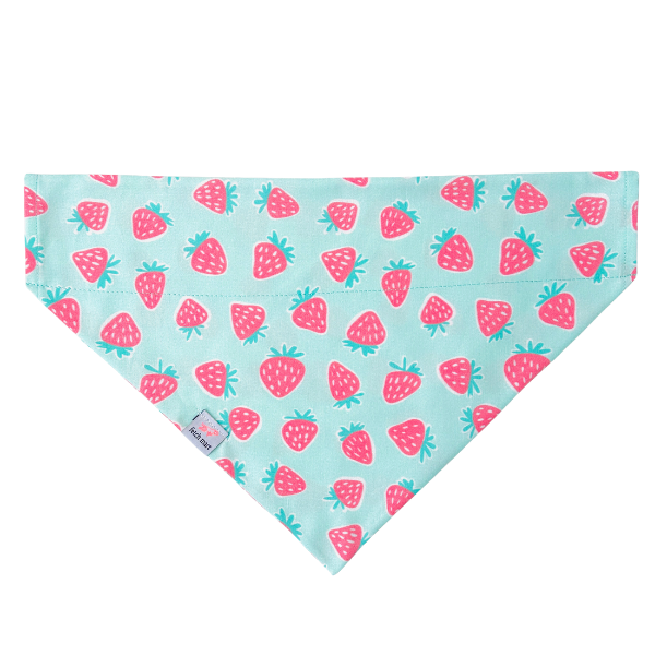 Strawberry Sorbet Bandana