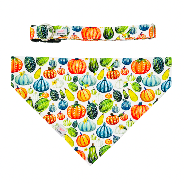 Squash Goals Bandana