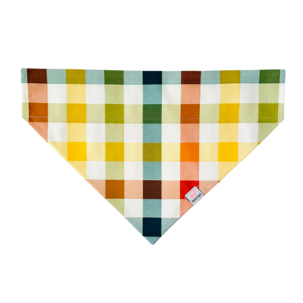Autumn Rainbow Gingham Bandana