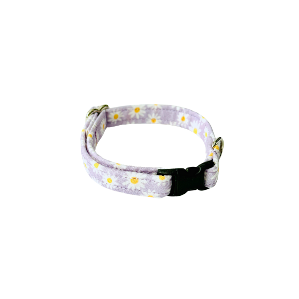 Lavender Daisies Collar