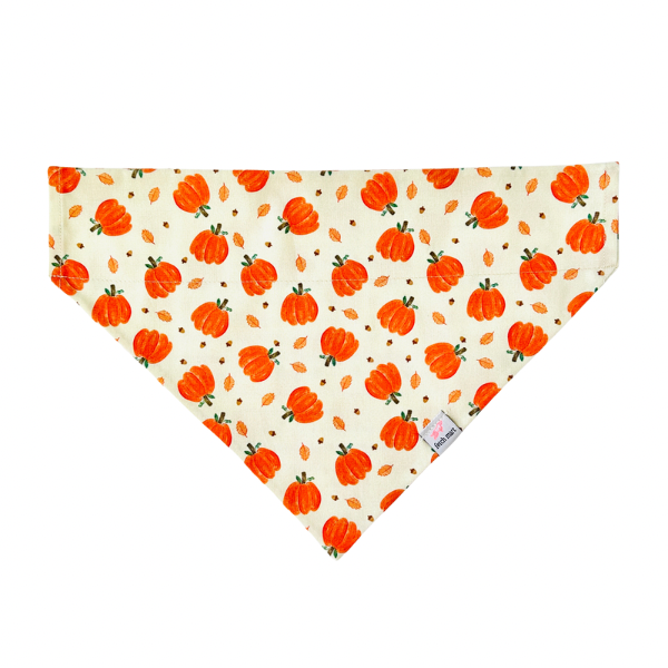 Pumpkin Patch Bandana