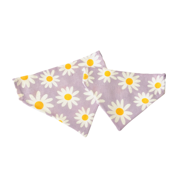 Lavender Daisies Bandana