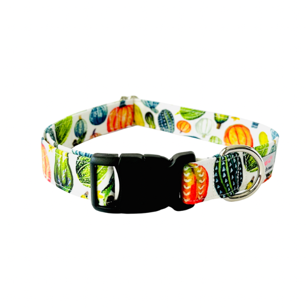Squash Goals Collar
