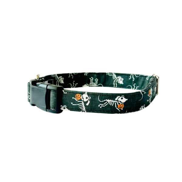 Skeleton Dogs Collar