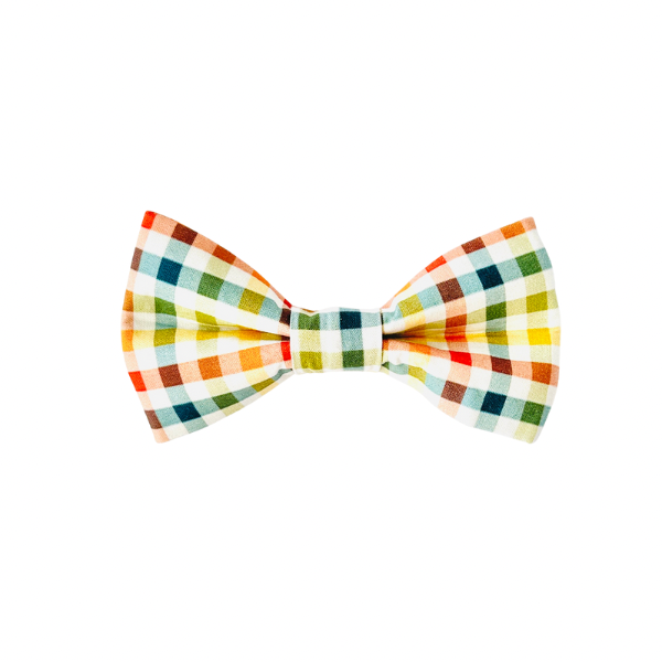 Autumn Rainbow Gingham Bow Tie