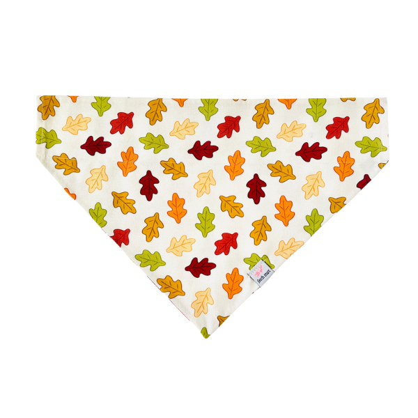 Fall Foliage Bandana
