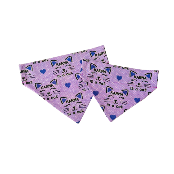 Karma is a Cat Bandana