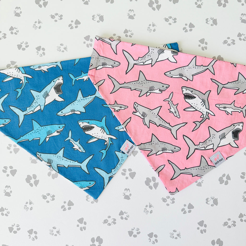 Sharks in Pink Collar