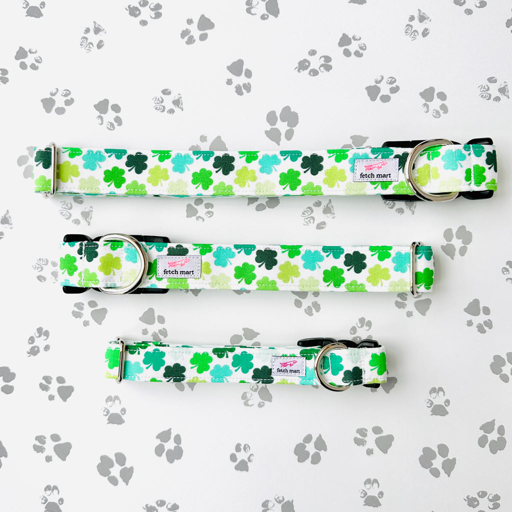 Shamrocks Collar