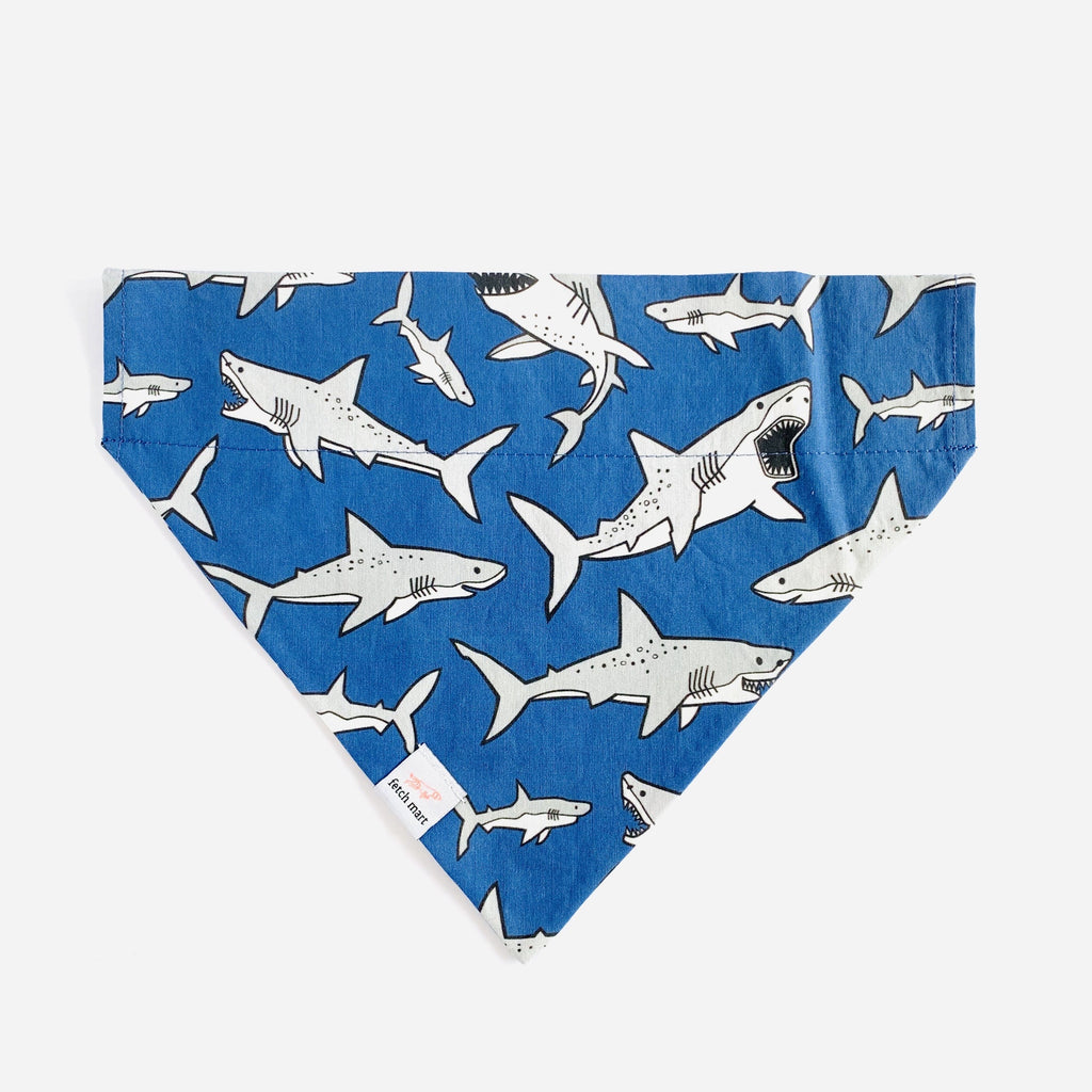 Blue Shark Bandana