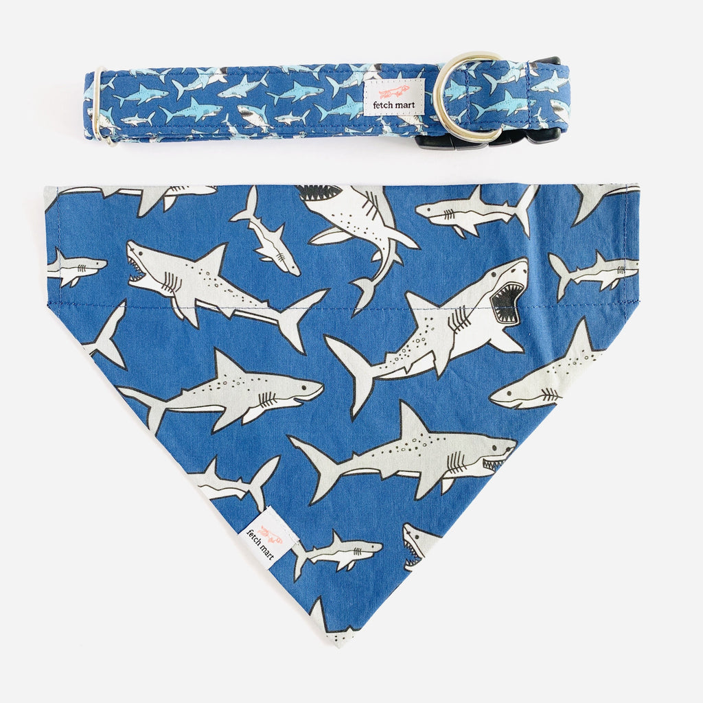 Blue Shark Collar